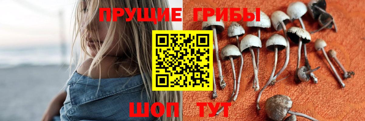 Псилоцибиновые грибы прущие грибы Нижний Тагил