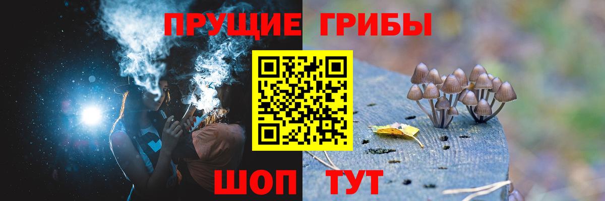 Галлюциногенные грибы Cubensis  Вход с VPN  Нижний Тагил 